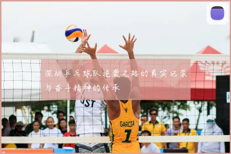深圳乒乓球队逆袭之路的真实记录与奋斗精神的传承