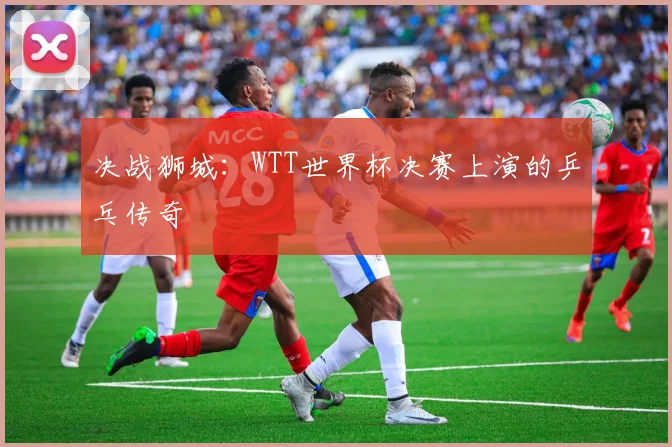 决战狮城：WTT世界杯决赛上演的乒乓传奇