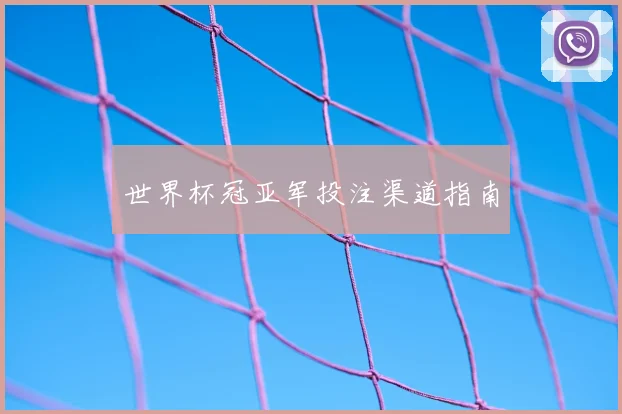 世界杯冠亚军投注渠道指南