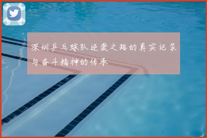 深圳乒乓球队逆袭之路的真实记录与奋斗精神的传承