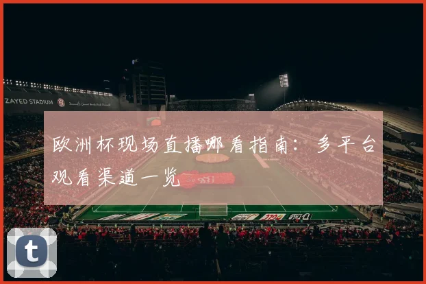 欧洲杯现场直播哪看指南：多平台观看渠道一览