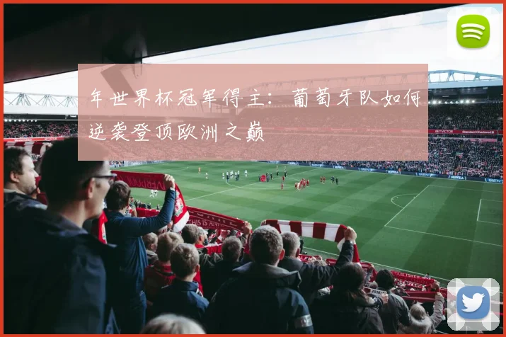 年世界杯冠军得主：葡萄牙队如何逆袭登顶欧洲之巅
