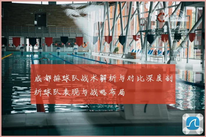 成都排球队战术解析与对比深度剖析球队表现与战略布局