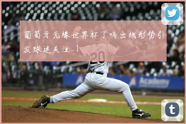 葡萄牙无缘世界杯了吗出线形势引发球迷关注_1