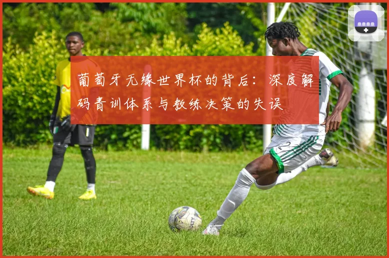 葡萄牙无缘世界杯的背后：深度解码青训体系与教练决策的失误