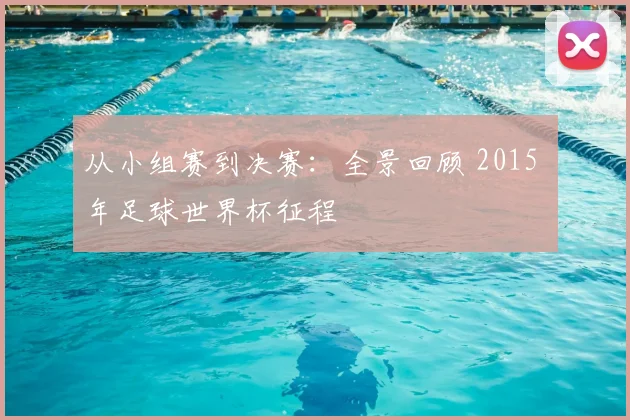 从小组赛到决赛：全景回顾 2015 年足球世界杯征程
